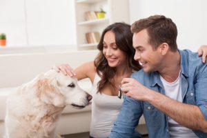 Help Your Pets Adjust To A New Home